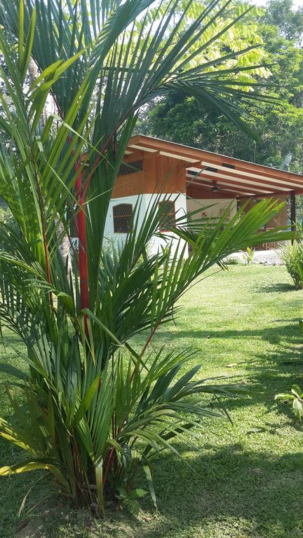 Los Delfines Lodge Puerto Viejo de Talamanca Bilik gambar
