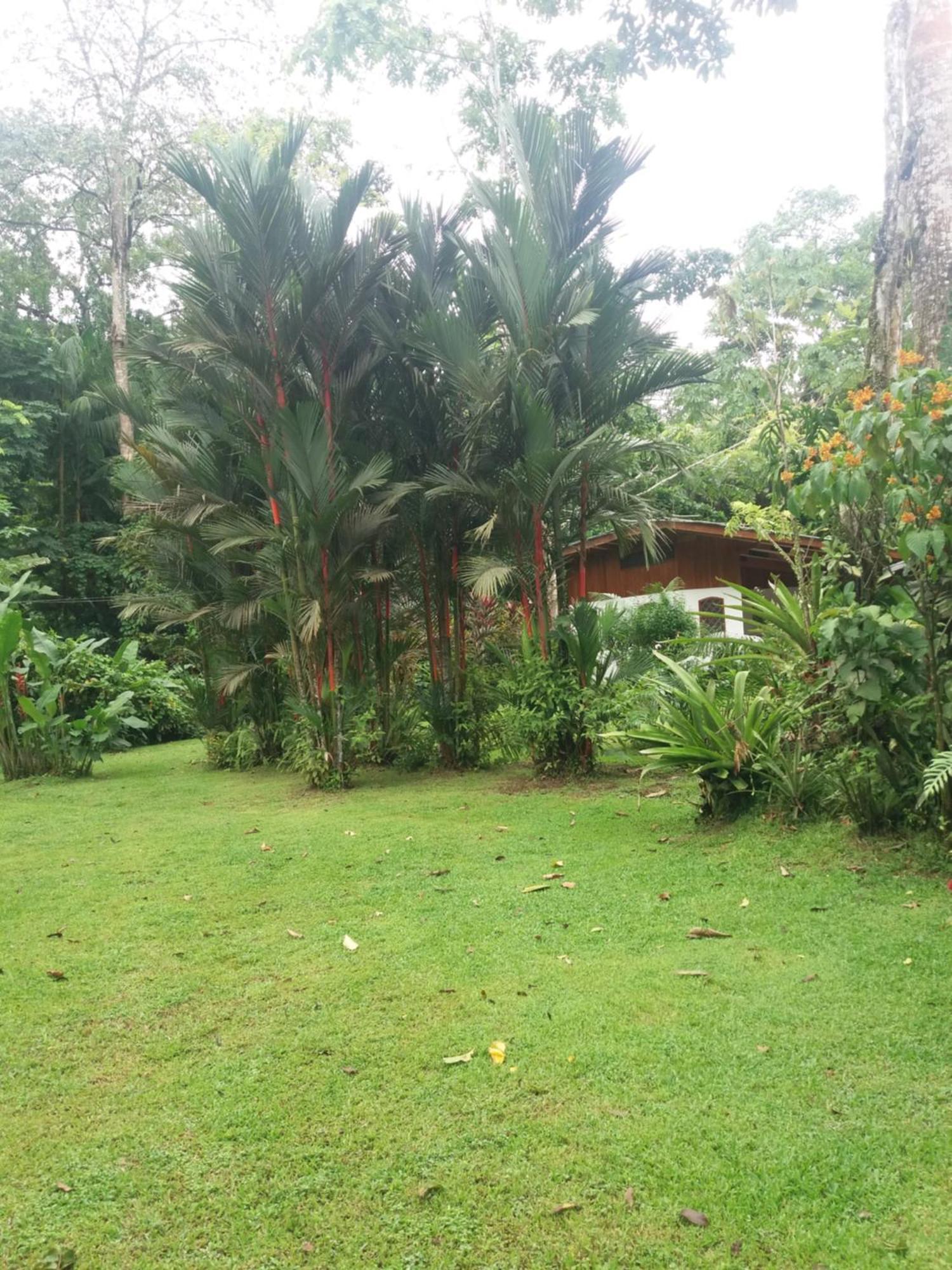 Los Delfines Lodge Puerto Viejo de Talamanca Luaran gambar