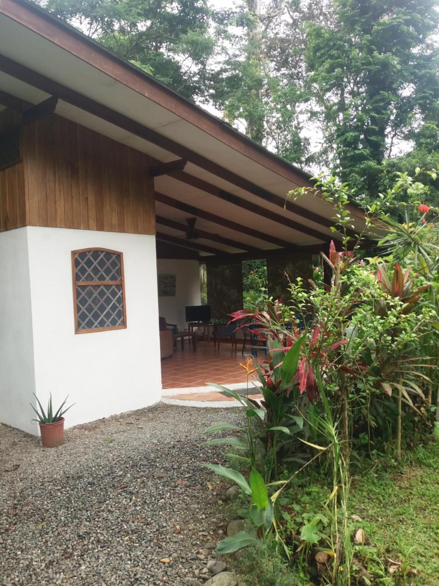 Los Delfines Lodge Puerto Viejo de Talamanca Luaran gambar